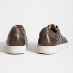 Storn Sneaker // Gray Brown (Euro: 43)