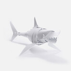 Shark Building Kit