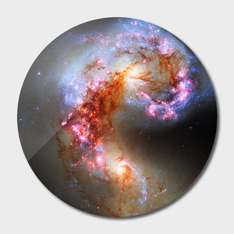 Antenna Galaxies (16"Ø)