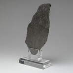 Genuine Natural Muonionalusta Meteorite Slice + Acrylic Stand // Large