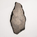 Genuine Natural Muonionalusta Meteorite Slice + Acrylic Stand // Large