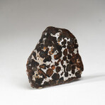 Genuine Seymchan Pallasite Meteorite Slab // 37.7 g