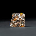 Genuine Seymchan Pallasite Meteorite Slice + Display Box // 9 g