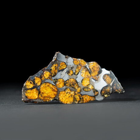 Genuine Seymchan Pallasite Meteorite Slice + Display Box // 13.5 g