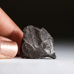 Genuine Natural Sikhote-Alin Meteorite + Display Box // 27.5 g