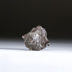 Genuine Natural Sikhote-Alin Meteorite + Display Box // 35.5 g