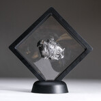 Genuine Natural Sikhote-Alin Meteorite + Display Box // 55 g