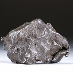 Genuine Natural Sikhote-Alin Meteorite + Display Box // 35.5 g
