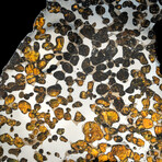 Genuine Seymchan Pallasite Meteorite Slice with Acrylic Display Stand // 202 Grams