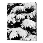 Snow-Covered Fir Tree (10"H x 8"W x 0.75"D)