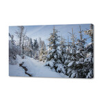 Owl Mountains in Winter (8"H x 12"W x 0.75"D)