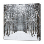 Road in the Winter Forest (12"H x 12"W x 0.75"D)