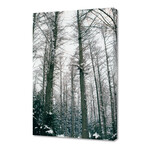 Winter Forest I (12"H x 8"W x 0.75"D)