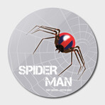 Spider-Man (16"Ø)