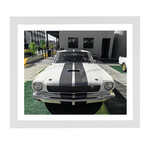 Ford Shelby GT 350 Coupe (Black Frame)