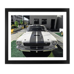 Ford Shelby GT 350 Coupe (Black Frame)