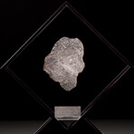 Seymchan Meteorite // Magadanskaya Oblast // Black Acrylic Display // Ver. 1