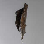 Sikhote Alin Meteorite // Siberia // Medium Space Box // Ver. 7