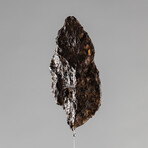 Chinge Meteorite // Tuva // Medium Space Box // Ver. 1