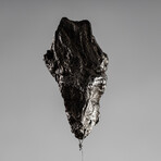 Sikhote Alin Meteorite // Siberia // Medium Space Box // Ver. 4