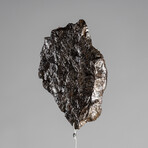 Muonionalusta Meteorite // Sweden // Medium Space Box