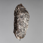 Muonionalusta Meteorite // Sweden // Large Space Box