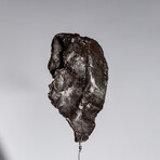 Sikhote Alin Meteorite // Siberia // Medium Space Box // Ver. 5