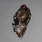Sikhote Alin Meteorite // Siberia // Medium Space Box // Ver. 7