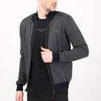 Full Zip Sweater // Gray + Navy (M)