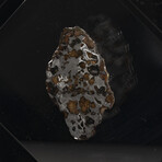 Seymchan Olivine Meteorite // Magadanskaya Oblast // Black Acrylic Display // Ver. 1
