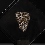 Seymchan Olivine Meteorite // Magadanskaya Oblast // Black Acrylic Display // Ver. 2