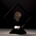 Seymchan Olivine Meteorite // Magadanskaya Oblast // Black Acrylic Display // Ver. 3