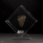 Seymchan Olivine Meteorite // Magadanskaya Oblast // Transparent Acrylic Display // Ver. 1