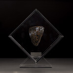 Seymchan Olivine Meteorite // Magadanskaya Oblast // Transparent Acrylic Display // Ver. 1