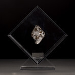 Seymchan Olivine Meteorite // Magadanskaya Oblast // Transparent Acrylic Display // Ver. 2