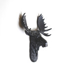 The Edmonton Mini Moose Wall Sculpture (Black/Black)