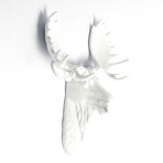 The Edmonton Mini Moose Wall Sculpture (Black/Black)