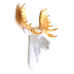 The Edmonton Mini Moose Wall Sculpture (Black/Black)