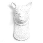 Ec0f5c134228cc876ce504be8094b7b1 small