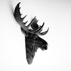 The Edmonton XL Moose Wall Sculpture (White/White)