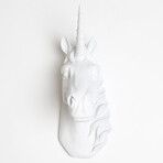 55db8507d6aca99aa8c992a2b96fc477 small