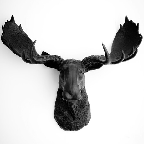 The Edmonton XL Moose Wall Sculpture (White/White)
