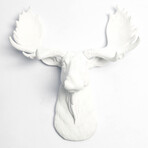 2e5d5aef28b6e5a915f5aa5e2001d736 small