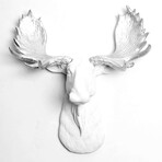 D2400d6f27271ee1e881ee4c5f5e2814 small