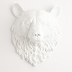 F06277554894bbb112f9bbc84cedb3a7 small