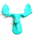 7f32c4dd38516646fbe3035d9d5f4617 small