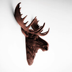 The Edmonton XL Moose Wall Sculpture (White/White)