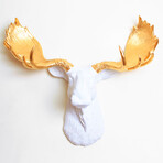 F2edd5ba1ef0b5178d2d94081b067bd0 small