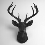 89e43f17fb5407519f3bc0ca0d04c079 small