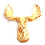 66931f91472ddd64ad26fd66556a4b9a small